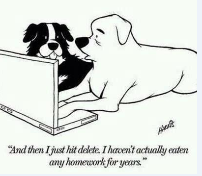 Big y help homework